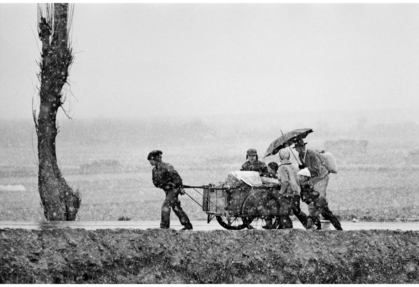 김일창, 합심, 1975. 제2회 경상북도 미술전람회 사진부 최고상